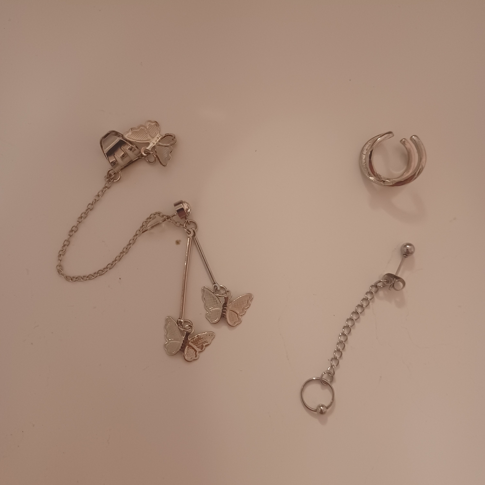 Silver Earrings